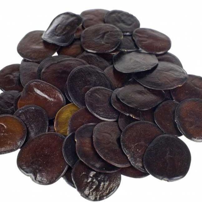 Yopo Seeds | Anadenanthera peregrina